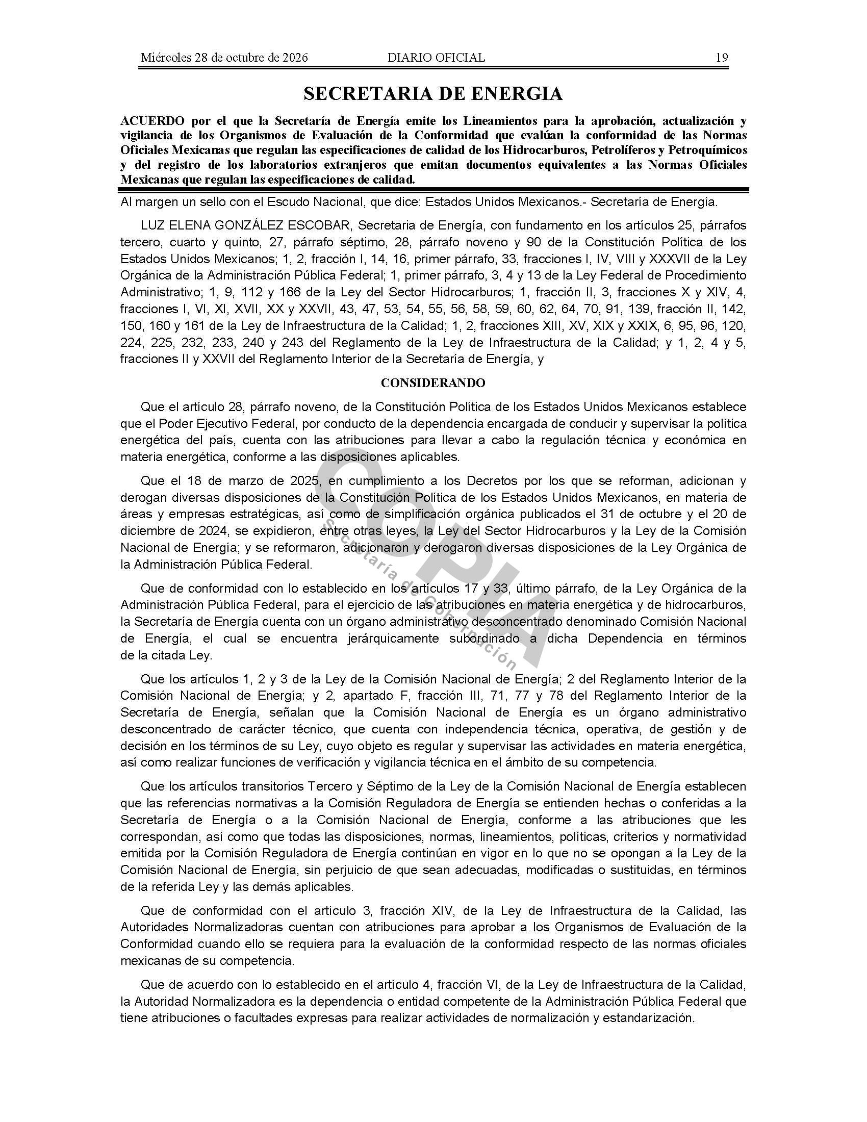 Página oficial 19